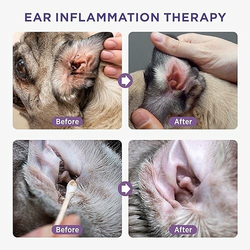HICC PET Dog Ear Cleaner