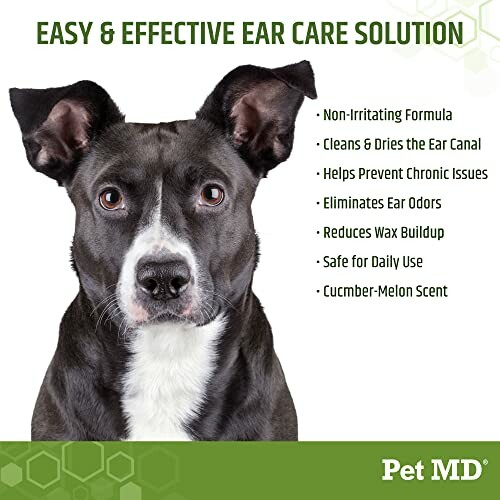 Dog with text about Pet MD ear care solution benefits